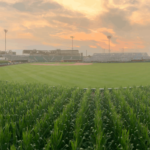 MLB en bref : Le Field of Dreams pourrait être agrandi | Le jeu le plus bizarre de l'année