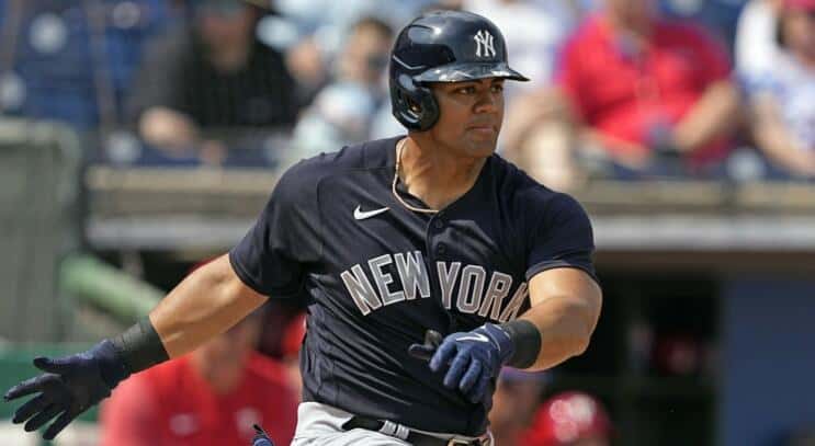 Jasson Dominguez